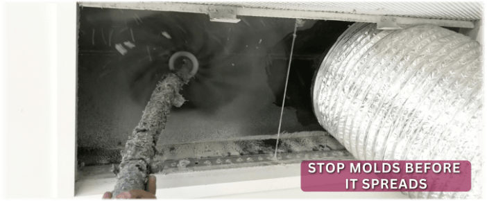 Air Duct Mold Removal in Laurel MD