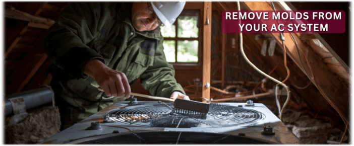 HVAC Mold Removal Laurel MD